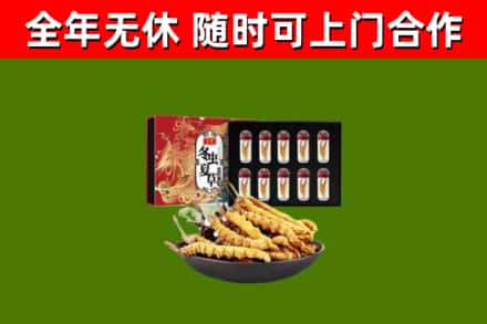 平安回收冬虫夏草价格
